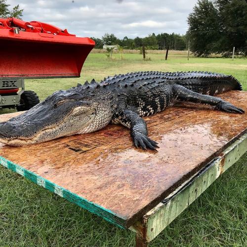 21:05:47 GMT-0500 (EST).image