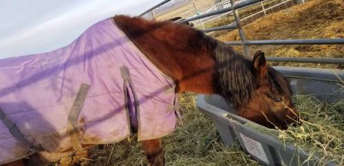 19:42:21 GMT-0800 (PST).image