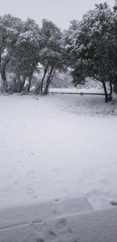 17:52:10 GMT-0600 (CST)