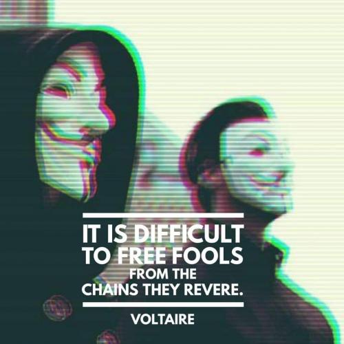 FB_IMG_1608073836331