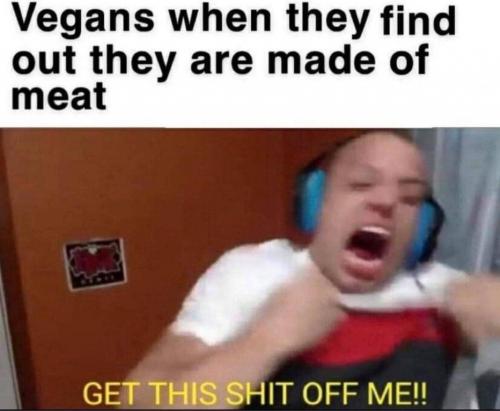 8F4C896D-C928-496E-A428-02AA76232AA4-3693-00000258E2EDD3A0