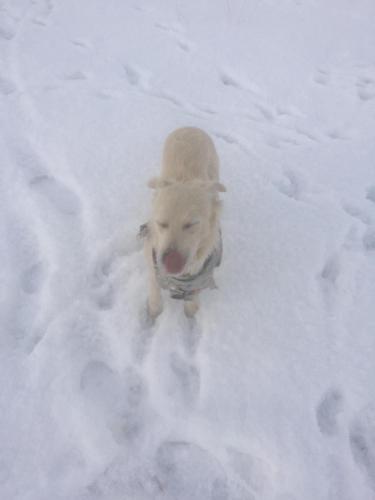 08:25:52 GMT-0800 (PST).image