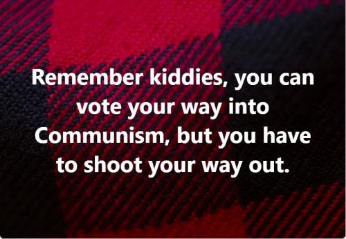You can vote your way into communism