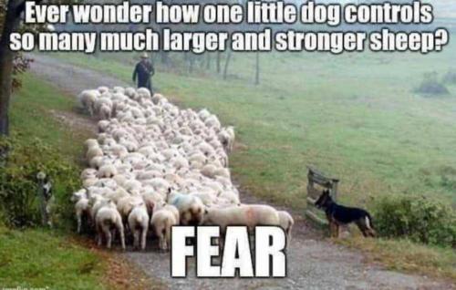 EA28CBA5-BFE7-4785-B7C6-75721D4FB5B9-16031-00000CAA308DE289