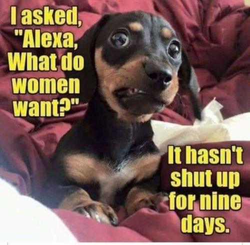 01:27:19 GMT-0600 (CST).image