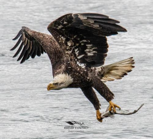 133257998_1305832099772423_4677624666446666002_o