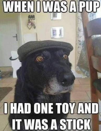 05:46:24 GMT-0600 (CST)