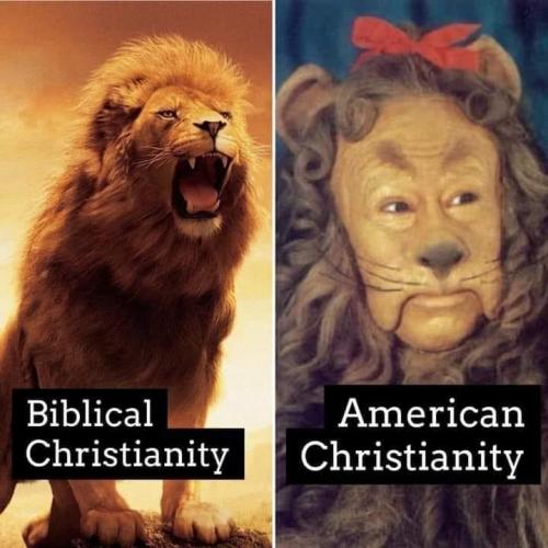 21:38:38 GMT-0500 (EST).image