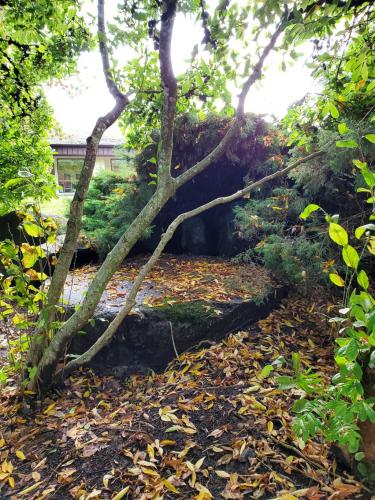 16:05:27 GMT-0800 (PST)