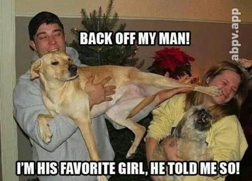 07:21:41 GMT-0600 (CST).image