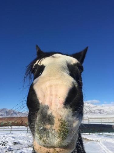 08:25:52 GMT-0800 (PST).image