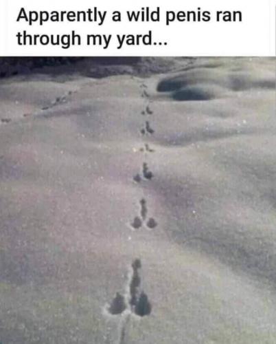 14:09:11 GMT-0800 (PST).image