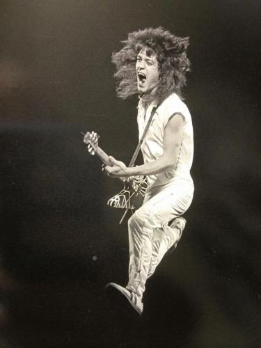 eb90390ee48631ba029f28223565a507