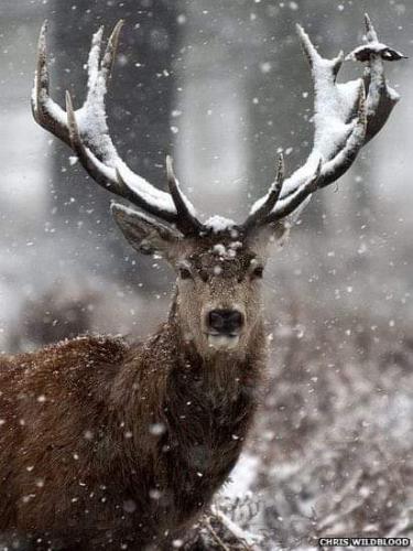 08:16:49 GMT-0600 (CST)