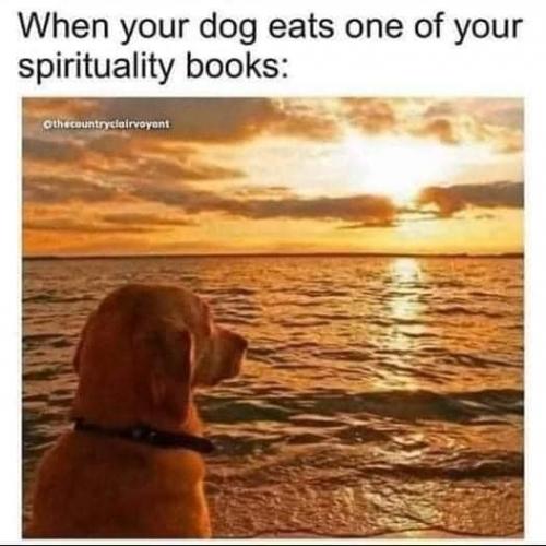 spiritualdogn