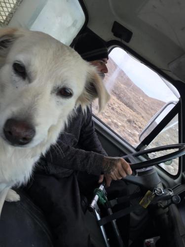 09:54:19 GMT-0800 (PST).image