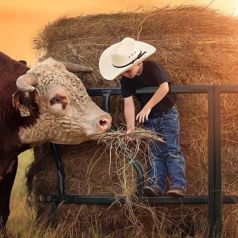 133676806_1346400345710080_5632687633933609706_n