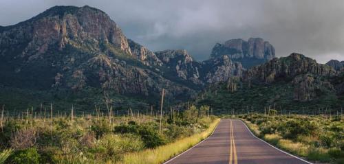 93878691_10222030138324754_8517012068858068992_n