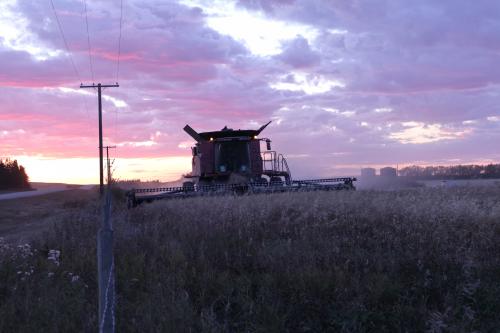 23:08:39 GMT-0700 (MST)