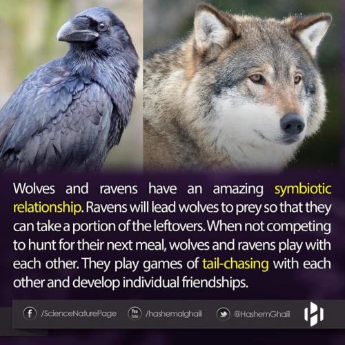 04:20:04 GMT-0600 (CST)