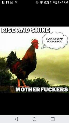 04:04:03 GMT-0600 (CST)