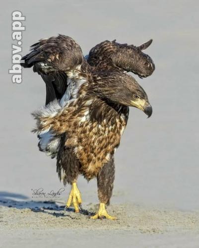 01:30:15 GMT-0600 (CST).image