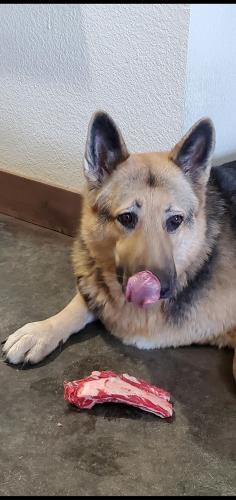 14:33:41 GMT-0600 (CST)