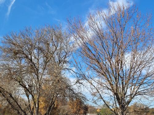 inbound2031248508337936134