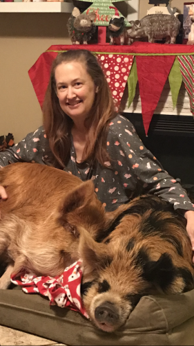 21:08:22 GMT-0600 (CST).image