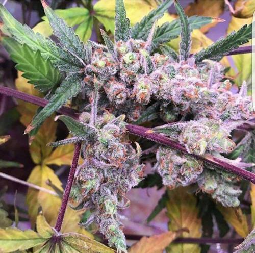 22:37:56 GMT-0800 (PST)