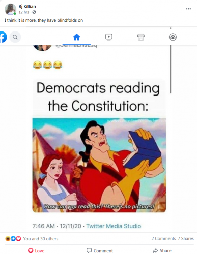 demsreadingconstitution