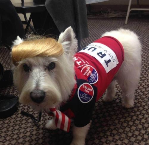 19:23:41 GMT-0800 (PST).image