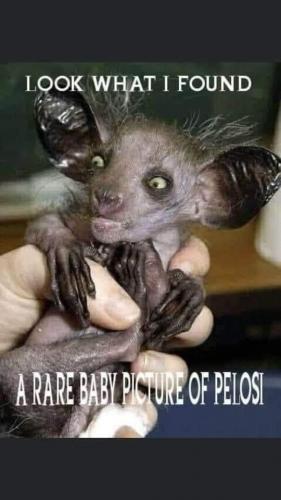 16:55:57 GMT-0800 (PST).image