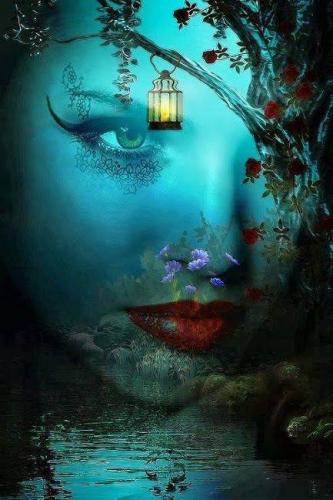 18664263_10206993329991884_2752203284856571352_n