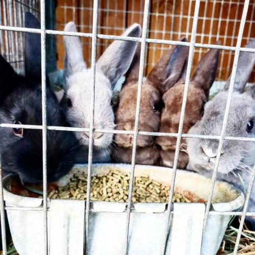 14:38:30 GMT-0500 (EST)