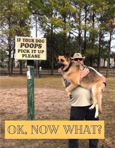 10:25:54 GMT-0500 (EST)