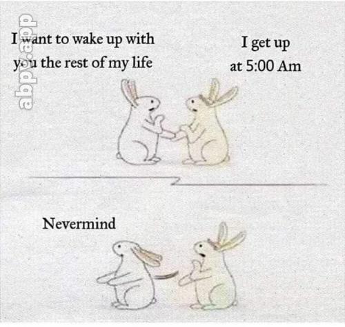 07:35:39 GMT-0600 (CST).image