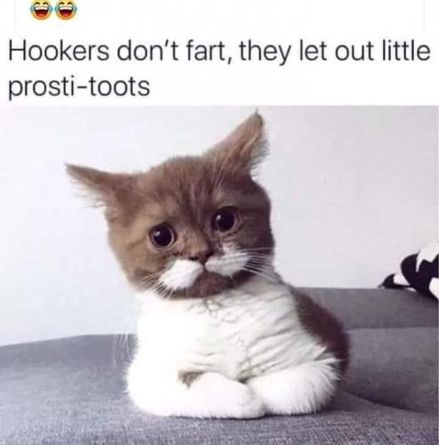 08:03:46 GMT-0700 (MST).image