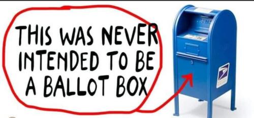IMG_4119