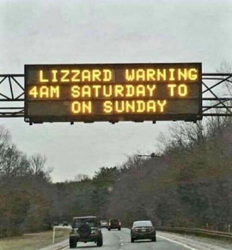 Lizzard_Warning