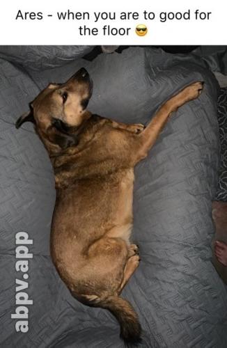 01:31:15 GMT-0600 (CST).image