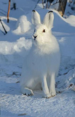 tumblr_nyhoegZ9Fw1qat5pio1_640