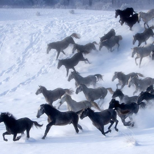 133319624_3912436055457874_4385674752370007125_n