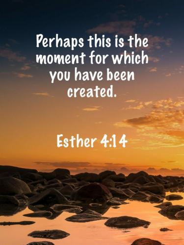 10:15:23 GMT-0500 (EST)