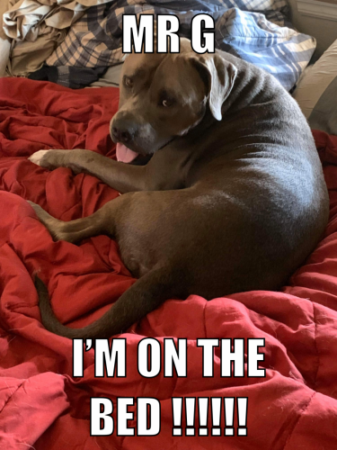 17:01:18 GMT-0600 (CST).image