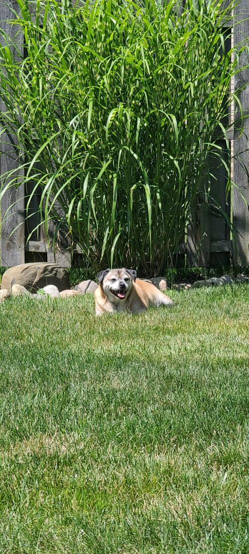 13:42:30 GMT-0500 (EST)