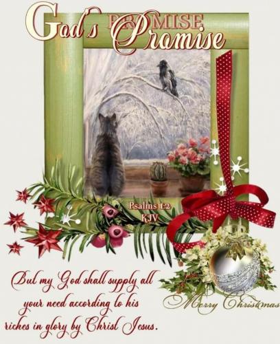 09:53:49 GMT-0600 (CST)