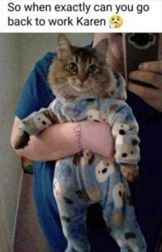 18:53:55 GMT-0600 (CST)