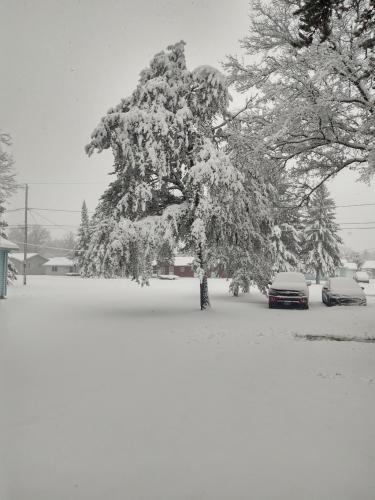 12:46:40 GMT-0500 (EST)