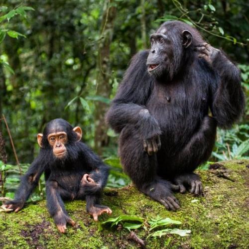 tumblr_bdc35a5fceeaff08db455ceb3fd1055f_2fb052c9_540